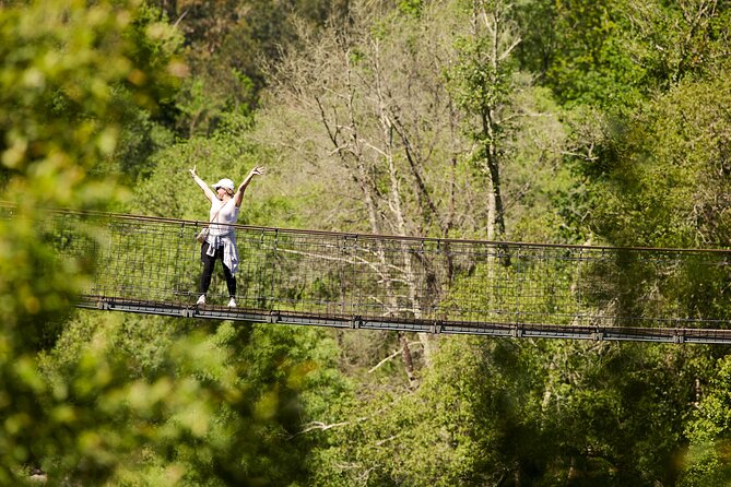 516 Arouca Bridge & Paiva Walkways Tour with Lunch from Porto - Arouquesa food and vinho verde in Alvarenga