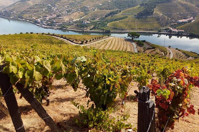 Authentic Douro Valley - small-Group Tour (Max 7) - Pinhão: a brief village stop