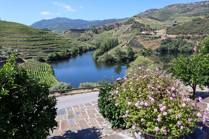 Authentic Small Group Douro Wine Tour with Lunch & River Cruise - What the $133 price really covers