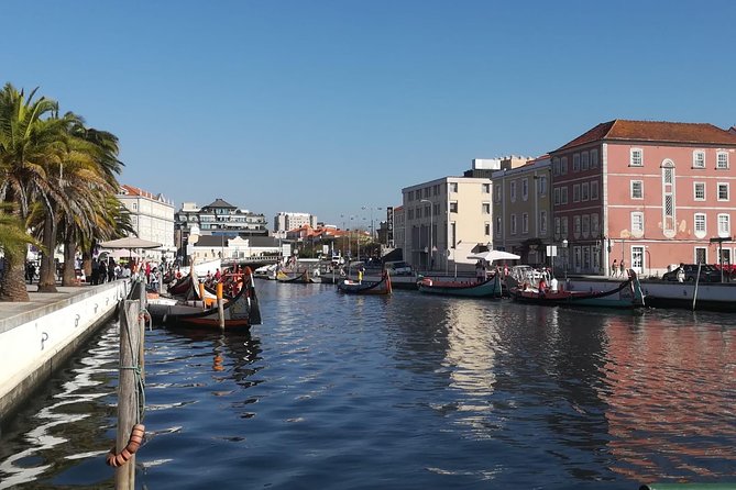 Aveiro and Coimbra Small Group Tour with Moliceiro Boat Cruise - Coimbra University is the day’s major cultural stop