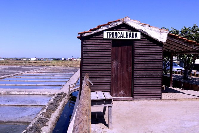 Aveiro and Costa Nova Half Day Tour from Porto with Boat Ride - Should you book the Aveiro and Costa Nova tour?