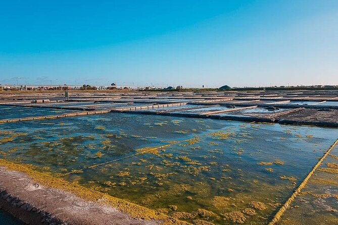 AVEIRO and COSTA NOVA Private Full Day Tour from Porto - Ovos moles and a little free time