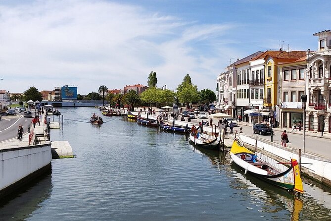 AVEIRO and COSTA NOVA Private Full Day Tour from Porto - What the private price includes
