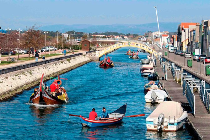 Aveiro Canal Cruise in Traditional Moliceiro Boat - A gentle start on Aveiro’s canals