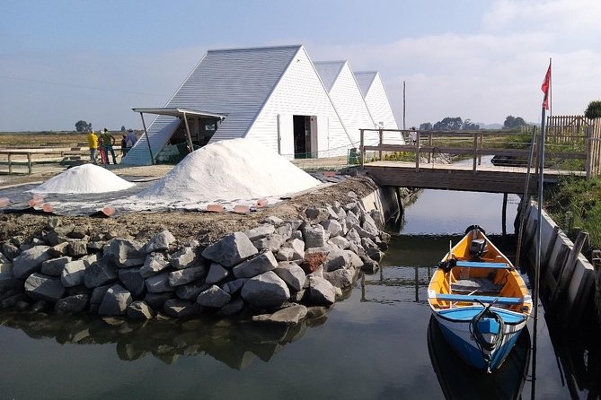 Aveiro & Costa Nova Private Tour – Canals & Striped Houses - From Porto to the São Jacinto dunes