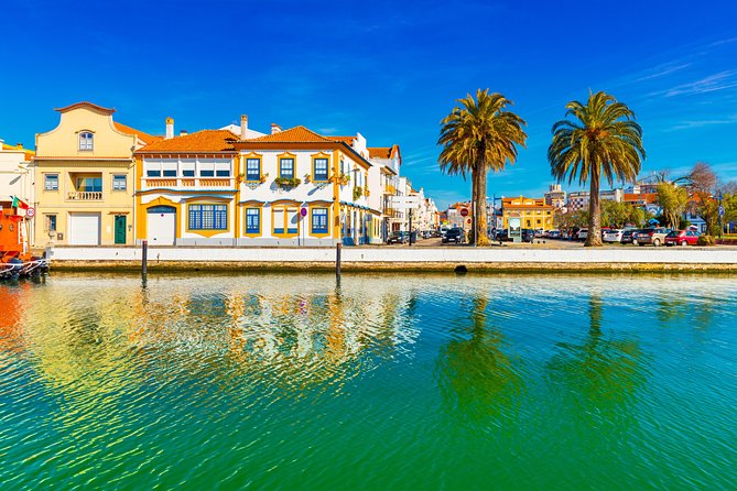 Aveiro Half Day Private Tour Porto w/ Moliceiro River Cruise - What this half-day trip is really like