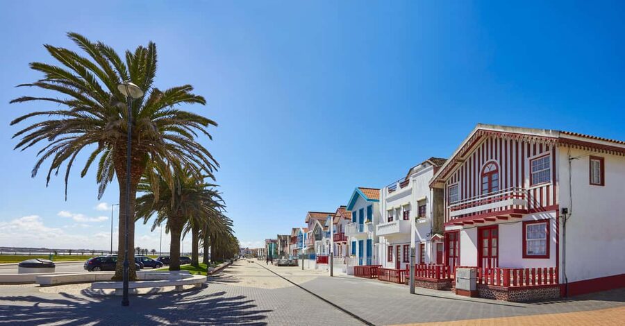 Aveiro: Half-Day Tour from Porto with Cruise - How the timing works from Porto