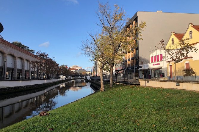 Aveiro Rent a Bike - 4 hours - The easy city ride: canals, old streets, and a gentle start