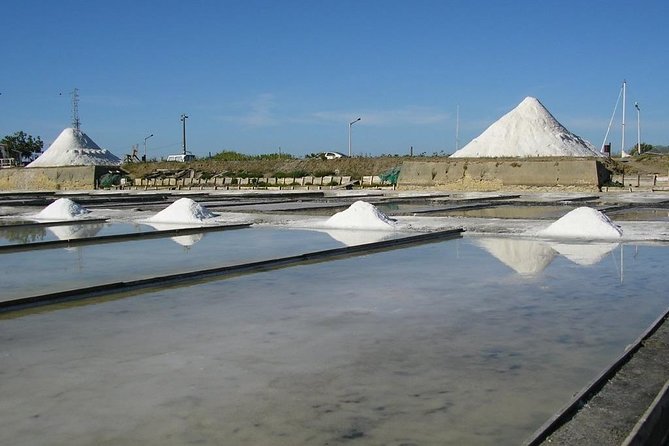 Aveiro Small-Group: Half Day Tour with Boat Ride - The 30-minute introduction to Aveiro