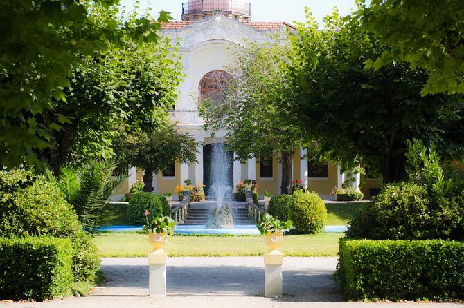 Bairrada Private Tour (Luso & Curia Villages) with Wine Tasting - The second wine stop and Bairrada’s wider wine range