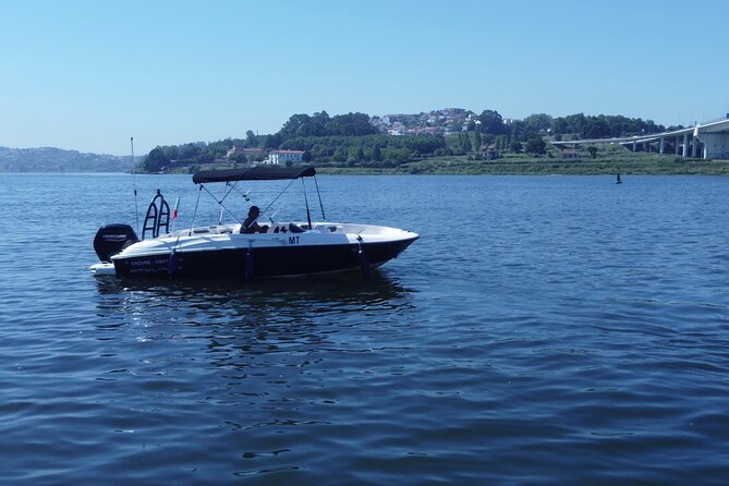 Boat Trip in Douro Porto - Meeting the Luis I Bridge from below