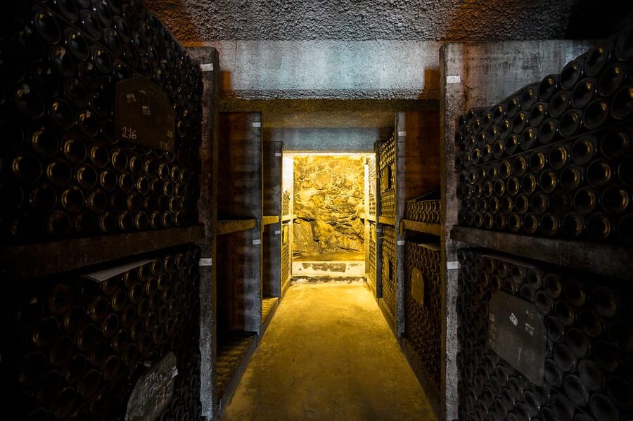 Burmester Cellar Tour - The Luiz I Bridge view adds real value