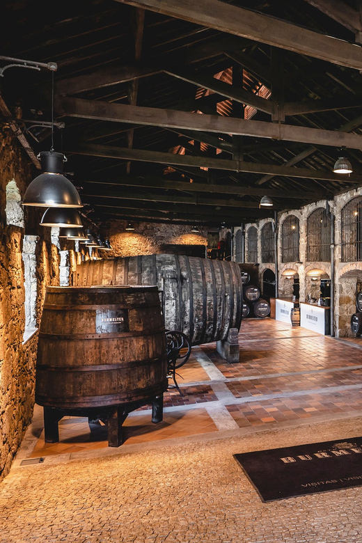 Burmester Cellar Tour - Language, age rules, and practical limits
