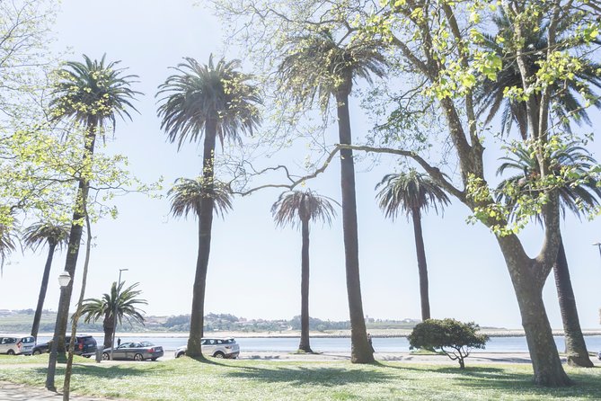 City Bike Rental in Porto - A good choice for first-time visitors