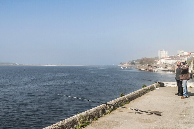 City Bike Rental in Porto - Choosing between the riverbanks and the beaches