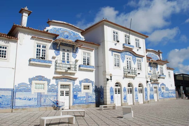 Coimbra & Aveiro Private Tour – Customizable Experience - Lunch choices range from simple regional food to DOC wine