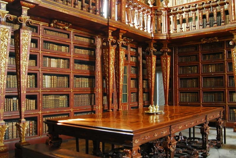 Coimbra & Aveiro Private Tour – Customizable Experience - Coimbra begins with Portugal’s student city
