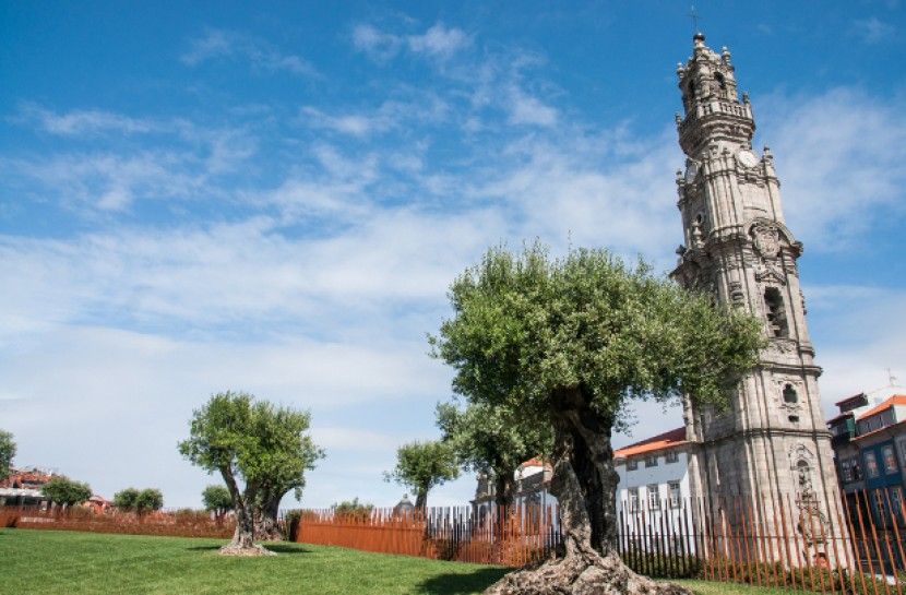 Combo: Porto City Half-Day Tour & Aveiro Half-Day Tour - Inside the port wine cellar