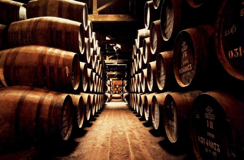 Combo: Porto City Half-Day Tour & Aveiro Half-Day Tour - From Porto to Aveiro
