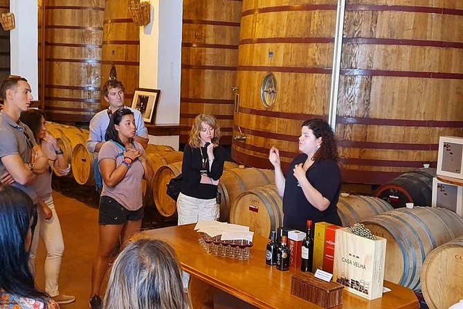 Complete Douro Valley Wine Tour with Lunch, Wine Tastings and River Cruise - Pinhão and the traditional Rabelo boat