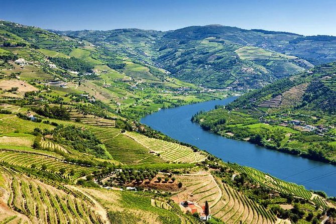 Complete Douro Valley Wine Tour with Lunch, Wine Tastings and River Cruise - Folgosa adds another wine estate