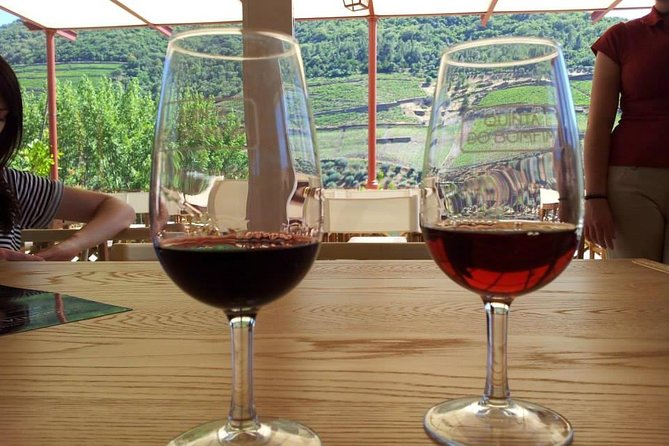 Complete Douro Valley Wine Tour with Lunch, Wine Tastings and River Cruise - Timing, weather, and the ride back to Porto