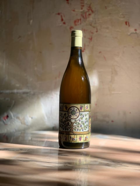 Córdoba: Discover the Soul of Spanish Natural Wine & Cuisine - The winemakers matter as much as the wine