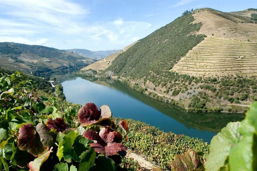 Day Cruise from Porto to Pinhão with Breakfast and Lunch - The bus back to Porto adds a second view of the valley