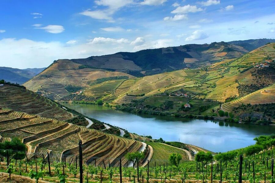 Day Cruise from Porto to Pinhão with Breakfast and Lunch - Who should book this Porto to Pinhão cruise?
