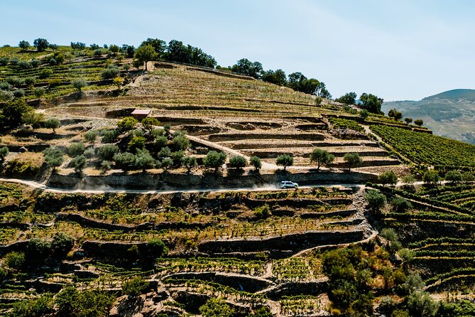 Douro Adventure - Tour 4x4 | Full Day Private Tour | All Included - What the $295.73 price includes