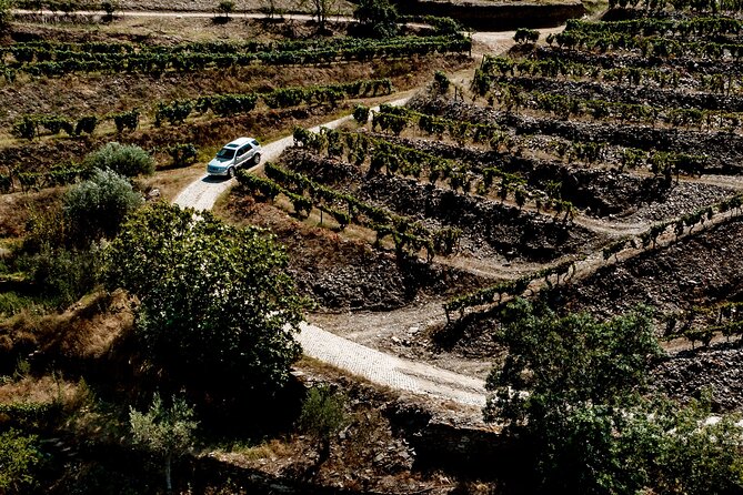 Douro Adventure - Tour 4x4 | Full Day Private Tour | All Included - Who will enjoy this day most