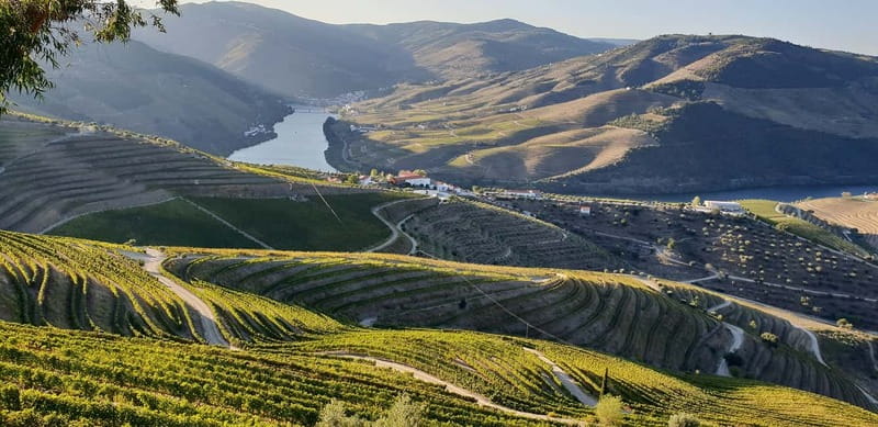 Douro Private Signature Tour – Customizable Experience - Why this Douro tour works well
