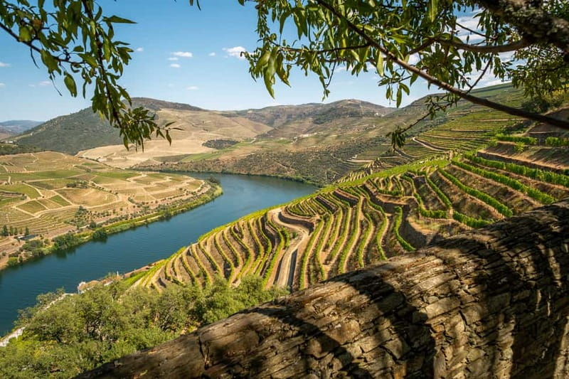Douro Private Signature Tour – Customizable Experience - Viewpoints above the Alto-Douro