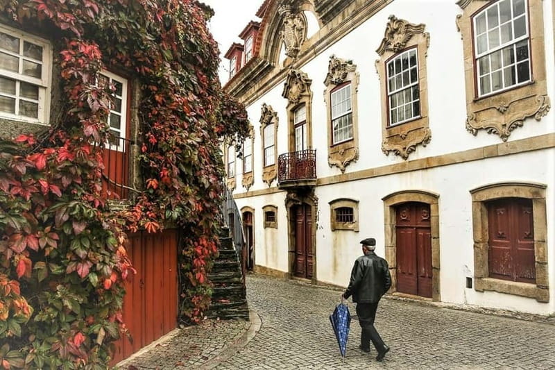 Douro Private Signature Tour – Customizable Experience - Choosing your wine estate