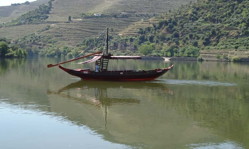 Douro Private Signature Tour – Customizable Experience - Taking a one-hour cruise