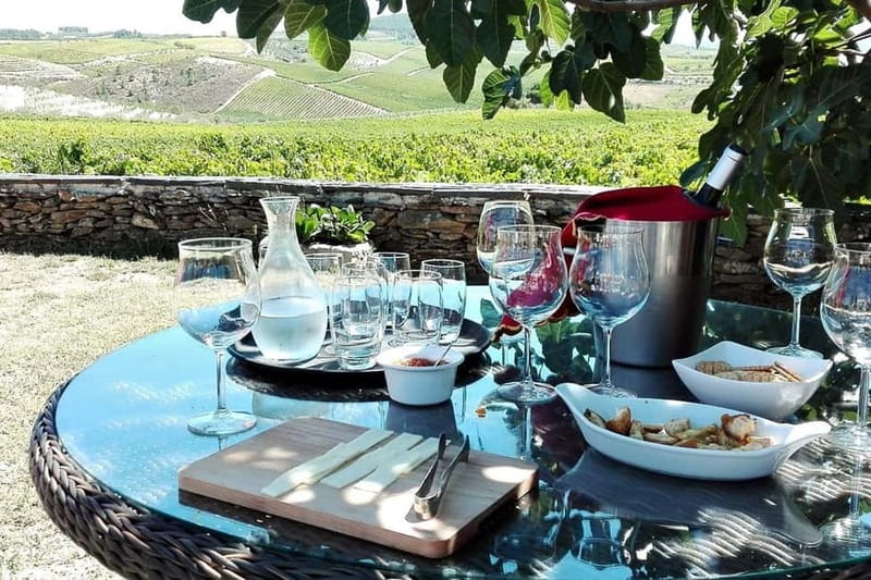 Douro Private Signature Tour – Customizable Experience - Leaving Porto for the Douro