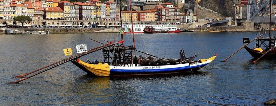 Douro River Cruise with Port Tasting and Lunch - One hour on the Douro River