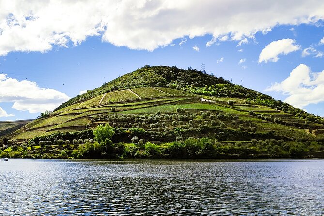 Douro | Roots & History - Tour with a local - Key points to know before booking