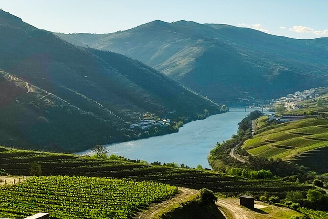 Douro | Roots & History - Tour with a local - The N222 beside the Douro