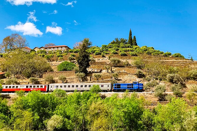 Douro | Roots & History - Tour with a local - Family lunch, archaeology, and the ceramic studio