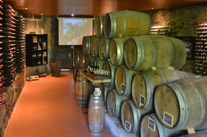 Douro Three Winery Small Group Tour with Lunch and Tastings - Key points to know before booking