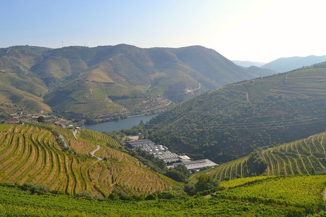 Douro Three Winery Small Group Tour with Lunch and Tastings - Sabrosa and the final winery
