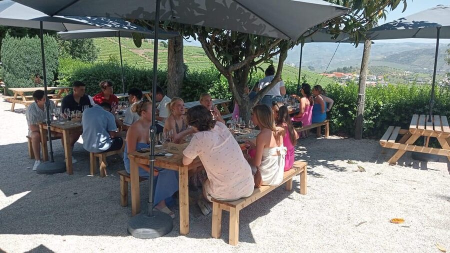 Douro Tour with Wine Tasting and Visit to Lamego and Pinhão - Should you book this Douro tour?