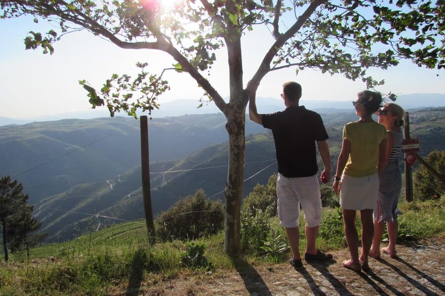 Douro Tour with Wine Tasting and Visit to Lamego and Pinhão - FAQ