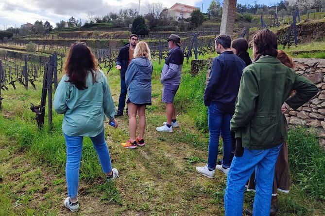 Douro Tour with Wine Tasting, River Cruise and Visit to Lamego - Why this Douro Valley day works so well