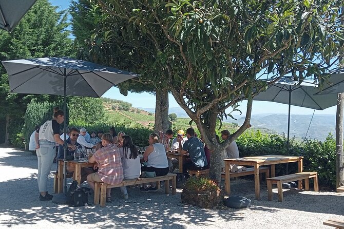 Douro Tour with Wine Tasting, River Cruise and Visit to Lamego - What the $95.54 price includes