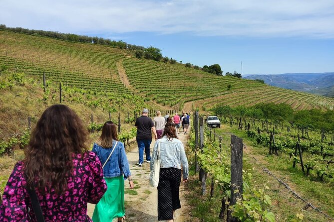 Douro Tour with Wine Tasting, River Cruise and Visit to Lamego - Leaving Porto at 8:30 a.m.
