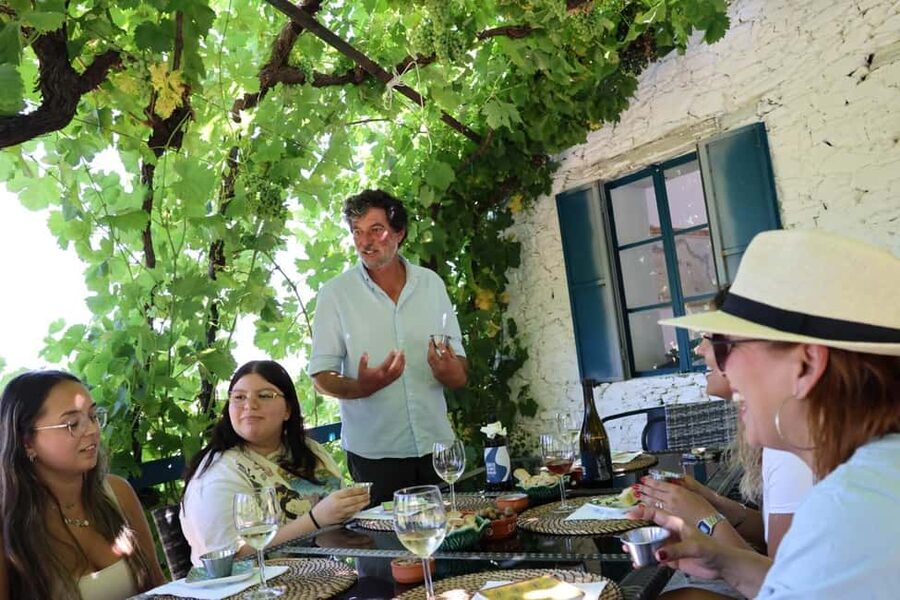Douro valley: 10 km hike in the Valley - Walking the vineyard terraces for 10 kilometers