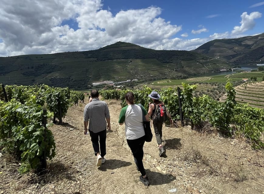 Douro valley: 10 km hike in the Valley - Is $74 a fair price?