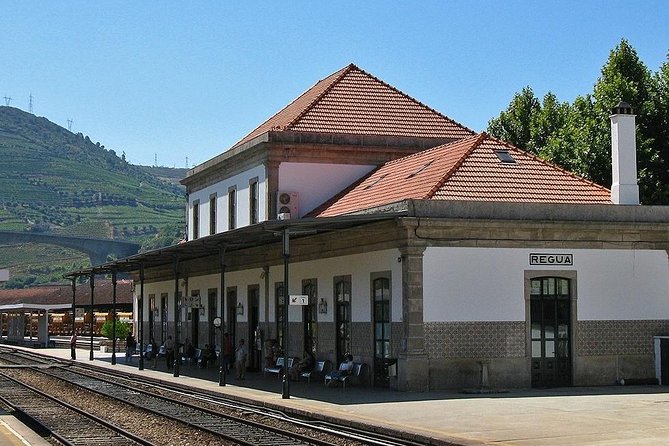 Douro Valley and Régua Panoramic Cruise with Lunch from Porto - Starting early at São Bento Station
